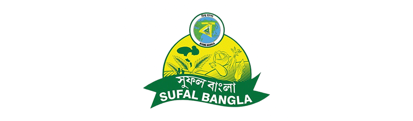 logo 11